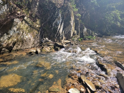 Offering #3 - Recreational Tract for Sale in Amherst VA - image 32