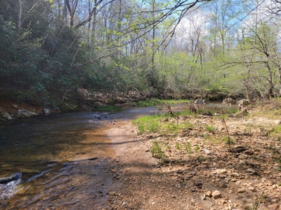 Offering #3 - Recreational Tract for Sale in Amherst VA - image 27