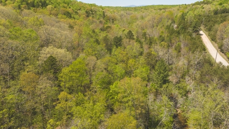 Offering #3 - Recreational Tract for Sale in Amherst VA - image 5
