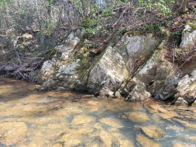 Offering #3 - Recreational Tract for Sale in Amherst VA - image 30