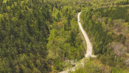 Offering #3 - Recreational Tract for Sale in Amherst VA - image 8