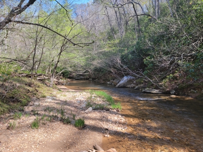 Offering #3 - Recreational Tract for Sale in Amherst VA - image 25