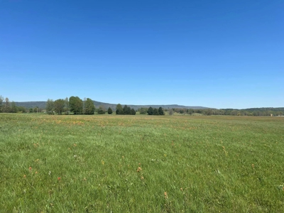 Tranquil 32-Acres for sale in Red Oak, Wilburton, Oklahoma - image 7