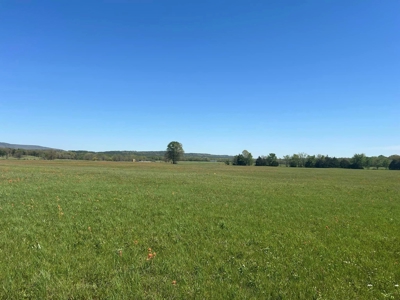 Tranquil 32-Acres for sale in Red Oak, Wilburton, Oklahoma - image 4