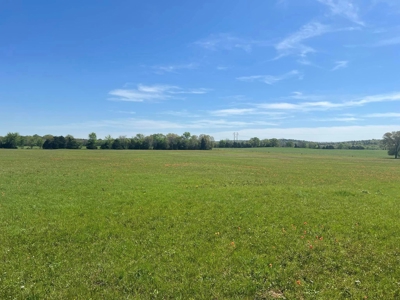 Tranquil 32-Acres for sale in Red Oak, Wilburton, Oklahoma - image 2