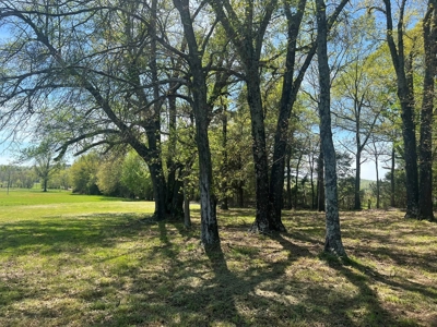 Tranquil 32-Acres for sale in Red Oak, Wilburton, Oklahoma - image 6