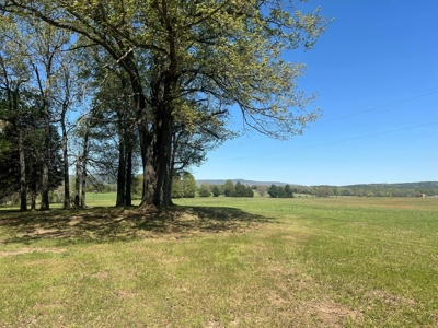 Tranquil 32-Acres for sale in Red Oak, Wilburton, Oklahoma - image 8