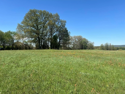 Tranquil 32-Acres for sale in Red Oak, Wilburton, Oklahoma - image 3