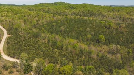 Offering #4 - Large Wooded Tract for Sale in Amherst VA - image 16