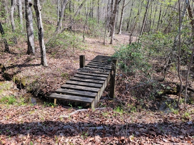 Offering #4 - Large Wooded Tract for Sale in Amherst VA - image 10