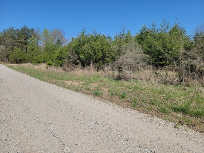 Offering #4 - Large Wooded Tract for Sale in Amherst VA - image 1