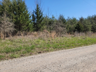 Offering #4 - Large Wooded Tract for Sale in Amherst VA - image 2