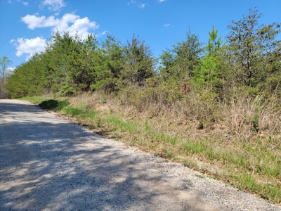 Offering #4 - Large Wooded Tract for Sale in Amherst VA - image 6