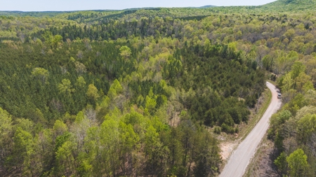 Offering #4 - Large Wooded Tract for Sale in Amherst VA - image 13