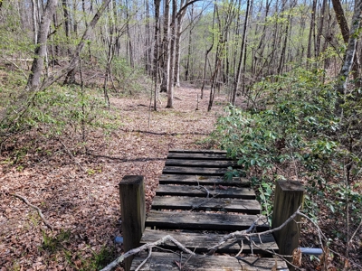 Offering #4 - Large Wooded Tract for Sale in Amherst VA - image 12
