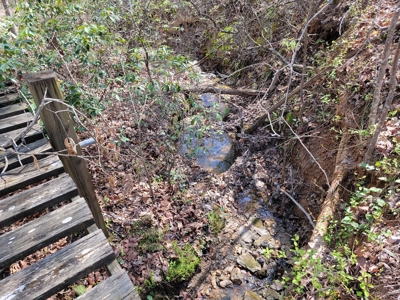 Offering #4 - Large Wooded Tract for Sale in Amherst VA - image 11