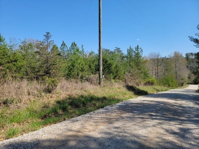 Offering #4 - Large Wooded Tract for Sale in Amherst VA - image 5