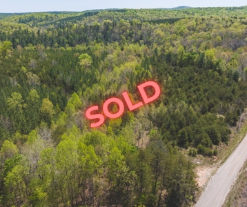 Offering #4 - Large Wooded Tract for Sale in Amherst VA - image 18