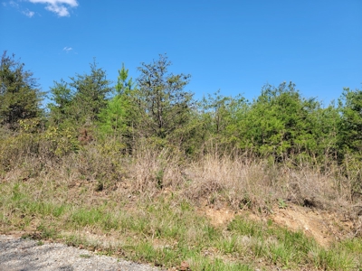 Offering #4 - Large Wooded Tract for Sale in Amherst VA - image 7