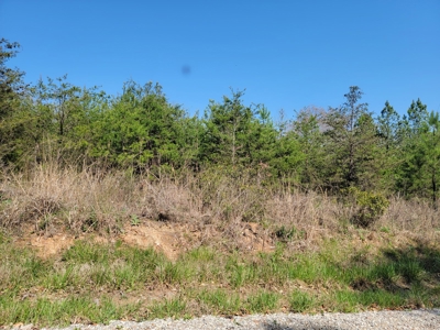 Offering #4 - Large Wooded Tract for Sale in Amherst VA - image 4