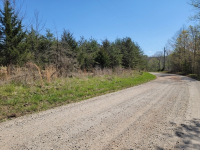 Offering #4 - Large Wooded Tract for Sale in Amherst VA - image 3