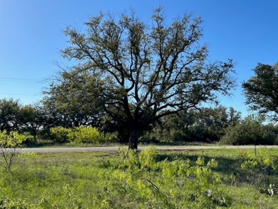 Lakeview Lot 461 at The Hideout Golf Resort Lake Brownwood - image 17