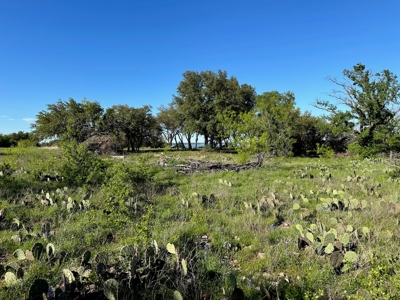Lakeview Lot 461 at The Hideout Golf Resort Lake Brownwood - image 8