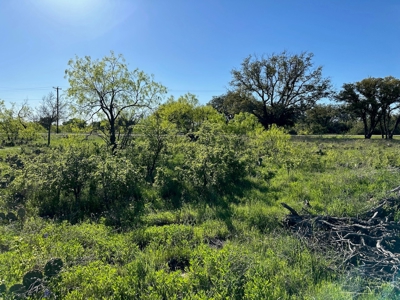 Lakeview Lot 461 at The Hideout Golf Resort Lake Brownwood - image 15