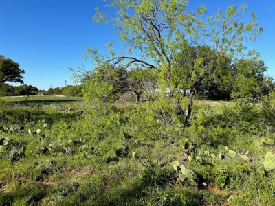 Lakeview Lot 461 at The Hideout Golf Resort Lake Brownwood - image 6