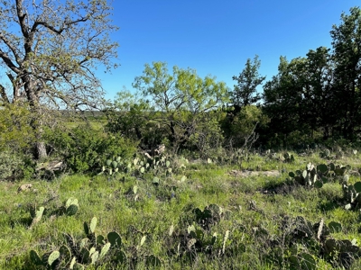 Lakeview Lot 461 at The Hideout Golf Resort Lake Brownwood - image 13