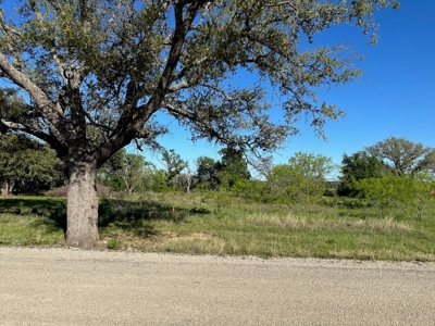 Lakeview Lot 461 at The Hideout Golf Resort Lake Brownwood - image 3