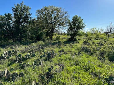 Lakeview Lot 461 at The Hideout Golf Resort Lake Brownwood - image 14
