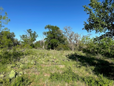 Lakeview Lot 461 at The Hideout Golf Resort Lake Brownwood - image 7