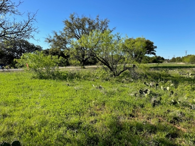 Lakeview Lot 461 at The Hideout Golf Resort Lake Brownwood - image 5