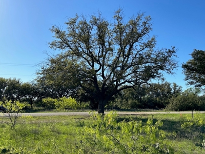 Lakeview Lot 461 at The Hideout Golf Resort Lake Brownwood - image 1