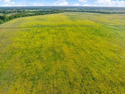 Northeast TX Pasture and Ranch Land For Sale - image 21