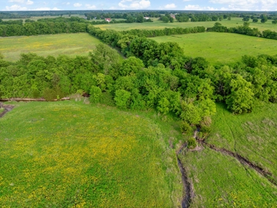 Northeast TX Pasture and Ranch Land For Sale - image 9