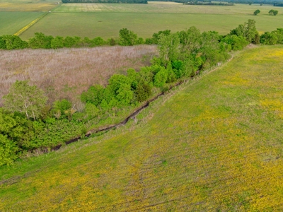 Northeast TX Pasture and Ranch Land For Sale - image 20