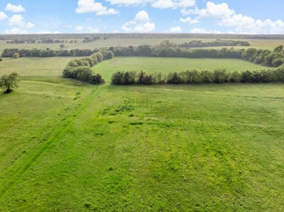 Northeast TX Pasture and Ranch Land For Sale - image 27