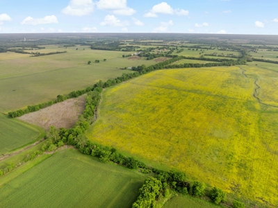 Northeast TX Pasture and Ranch Land For Sale - image 19