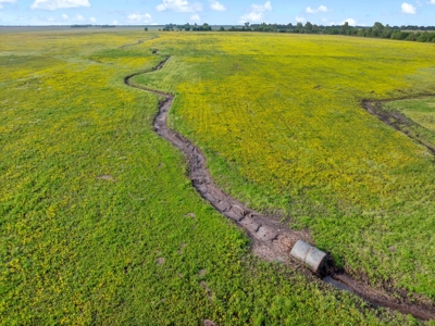 Northeast TX Pasture and Ranch Land For Sale - image 12