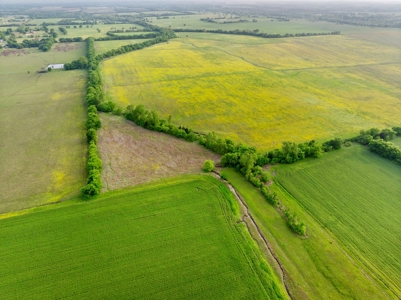 Northeast TX Pasture and Ranch Land For Sale - image 17
