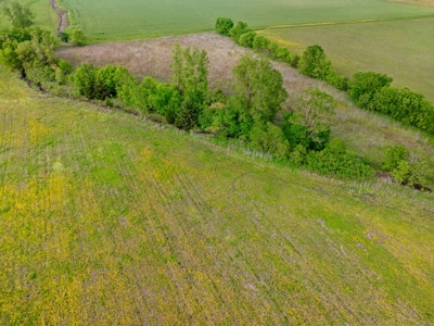 Northeast TX Pasture and Ranch Land For Sale - image 15