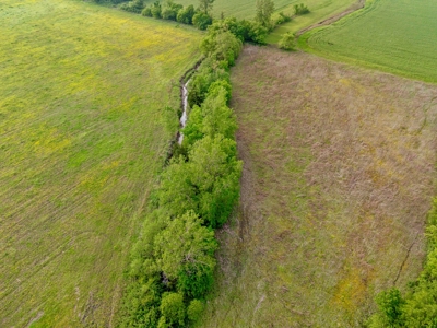 Northeast TX Pasture and Ranch Land For Sale - image 16