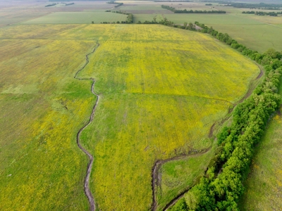 Northeast TX Pasture and Ranch Land For Sale - image 14
