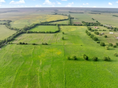 Northeast TX Pasture and Ranch Land For Sale - image 3