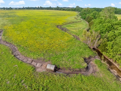 Northeast TX Pasture and Ranch Land For Sale - image 11
