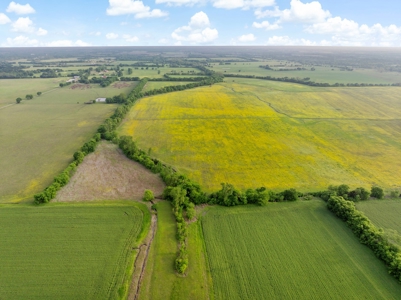 Northeast TX Pasture and Ranch Land For Sale - image 18