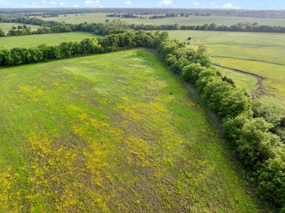 Northeast TX Pasture and Ranch Land For Sale - image 23