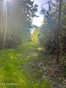 92 Acres Bogue Chitto, MS, Lincoln County - image 16